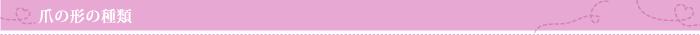 爪の形の種類